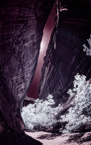 Singing Canyon