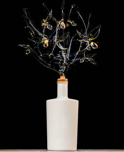 Olive Oil Tree