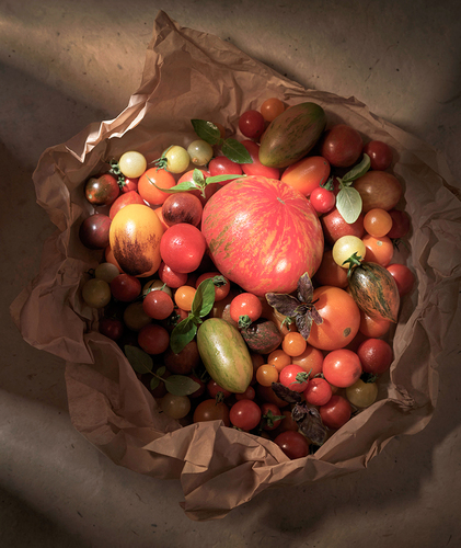 Bunched Tomatoes