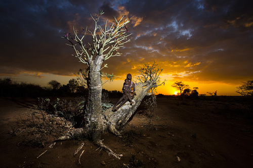 Arms of Nature