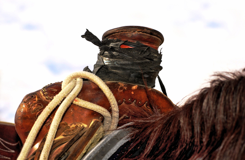 Saddle The Open Range