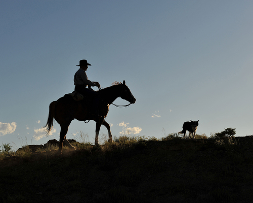 Sunset Ride