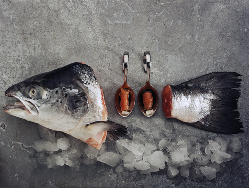 Still Life With Fish