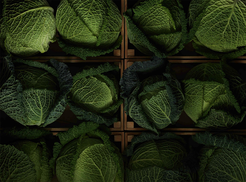 Cabbages, market stall