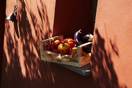 Sun-ripened tomatoes