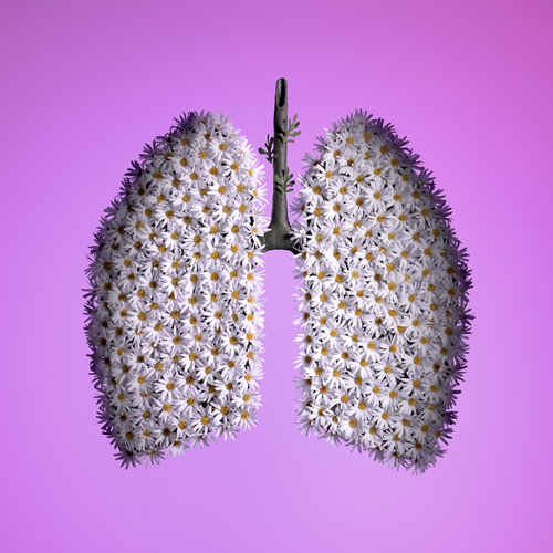 Lungs