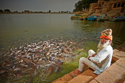 Holy Fish - Holy Man!