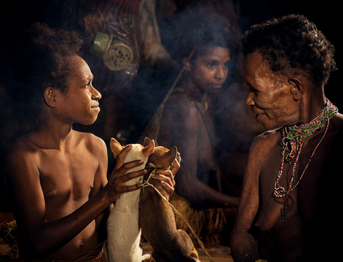 Korowei Tree House People