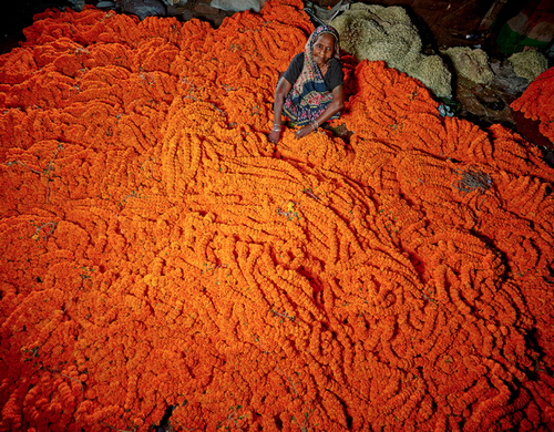 On the Flower Market