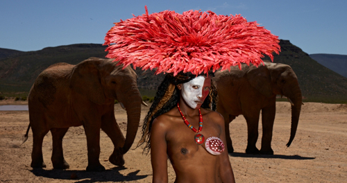 Wild Anim.. Feminals (2)