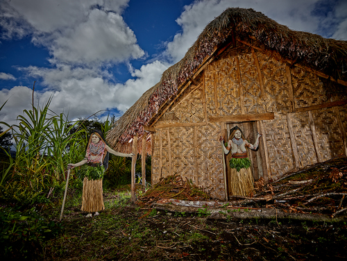Highland Widows