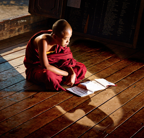Young Monk