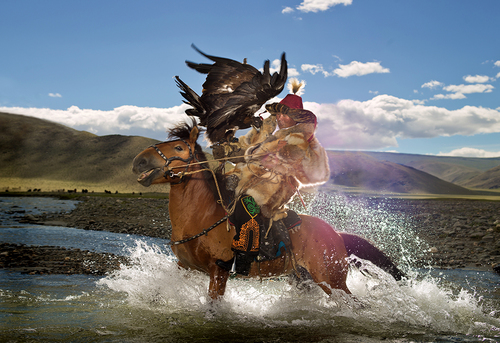 Eagle Hunter