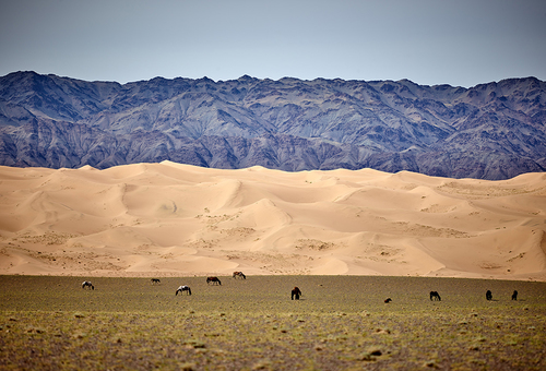 Gobi Desert (1)