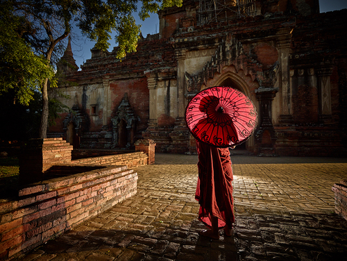 Shadow Under the Umbrella