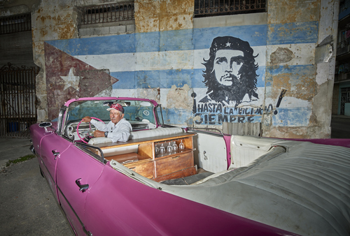 Morbid Havanna 51