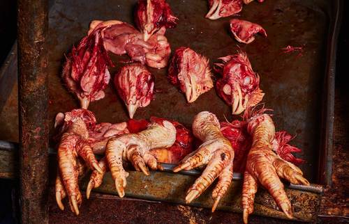 Shocking Slaughterhouse Waste