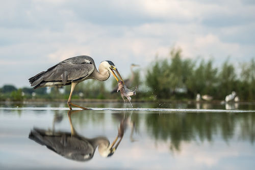 Fishing 