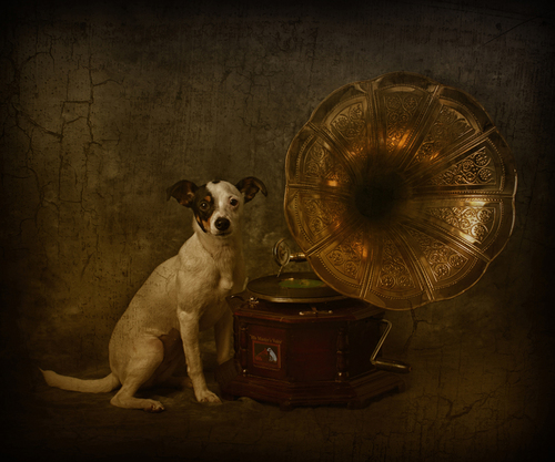 His masters voice