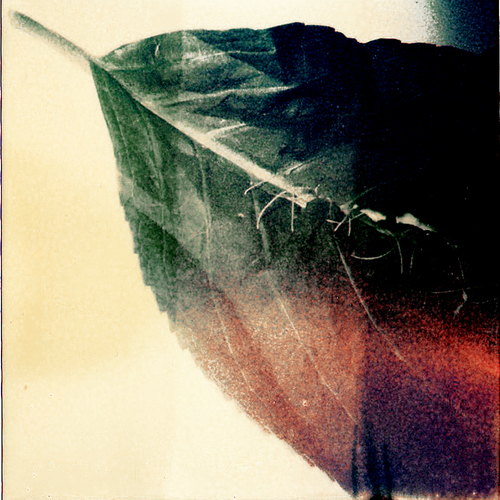 Broken