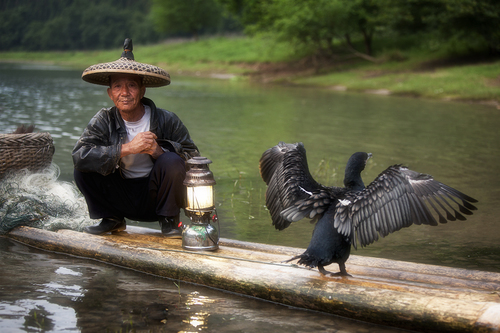 The Cormorant Fisherman