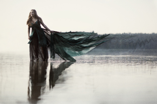 Daydreamer
