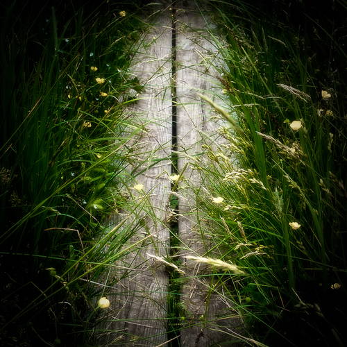 Board Walk