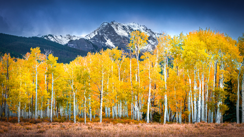 Autumn in the Rockies