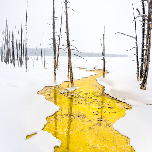 Where Yellowstone Gets Its Name