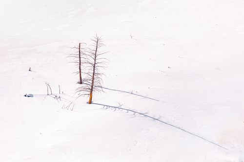 Long Shadows