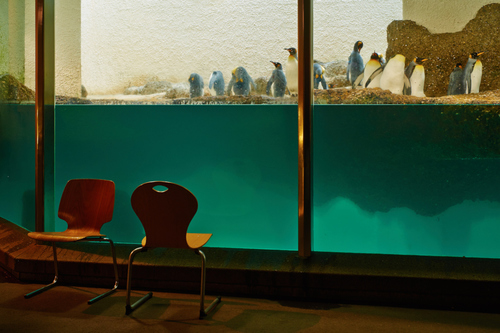 Zoo Interiors II