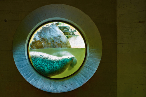 Zoo Interiors IV
