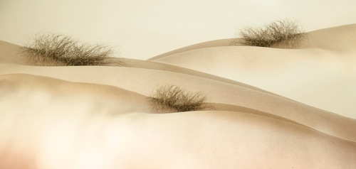 Erotic Views
