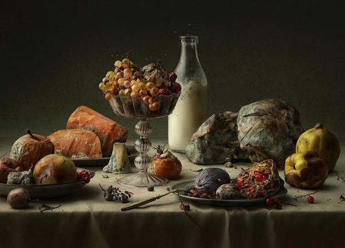 Polish Food Bank