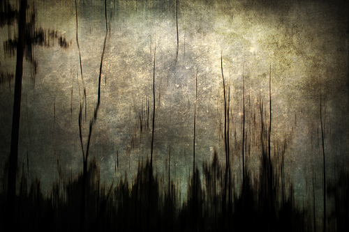Dark
