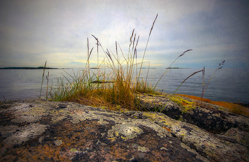 Coastal colors