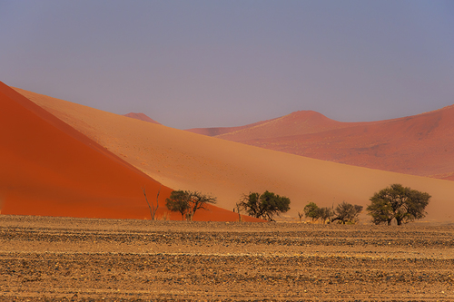 Colours in the Solitude