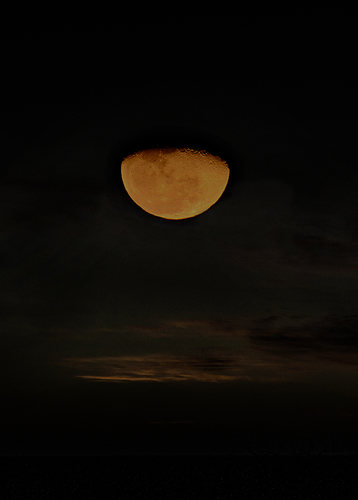 Desert Night