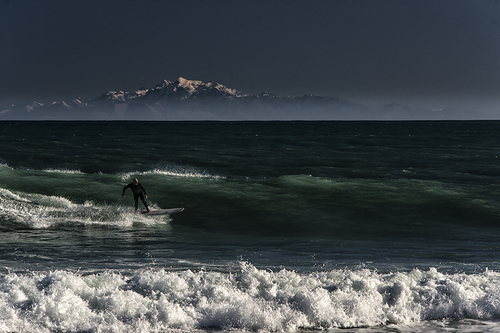 Surfer
