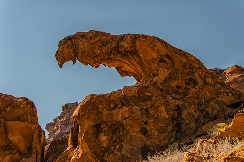 Leopard rock