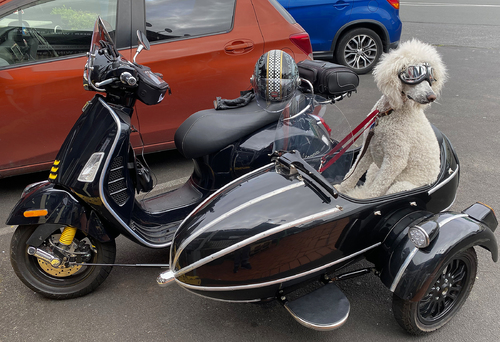 Sunday morning outing