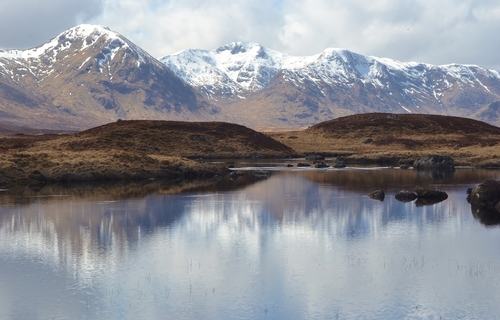 Stillness