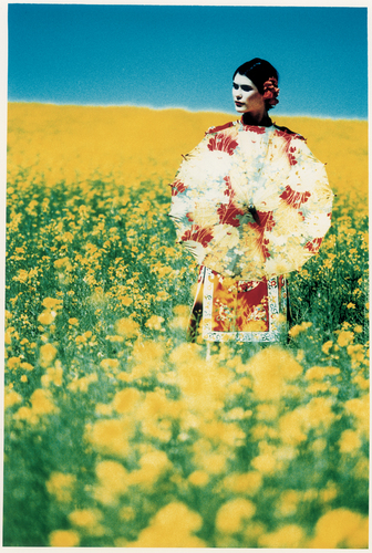 Canola Field, 1994