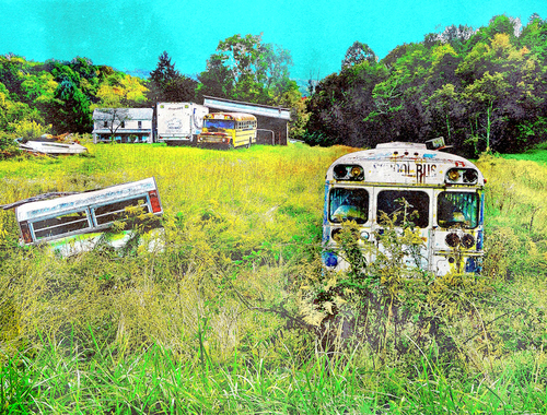 Bus Farm