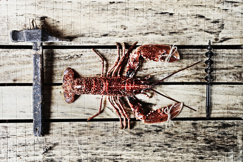 carpentry seafood
