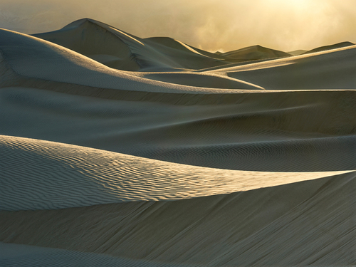 Curved Lines And Dust