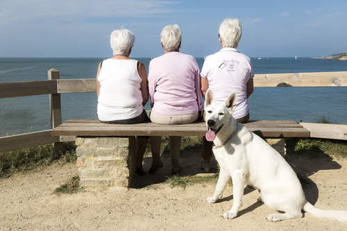 Three Sisters and a Dog
