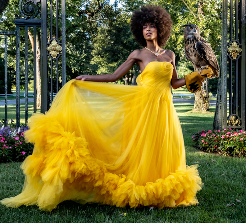 The Owl and the Canary