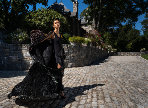 Cloaked