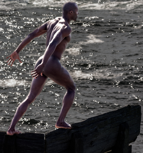 The Diver